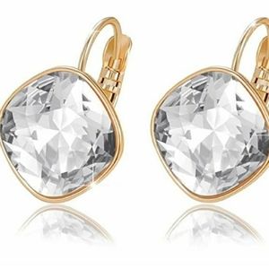 Sparkly Hoop crystal pierced Earrings with extra set of cl